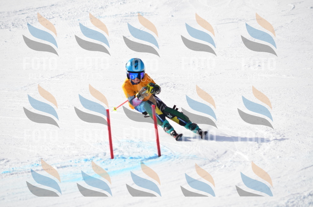 C6554 | holidayphoto