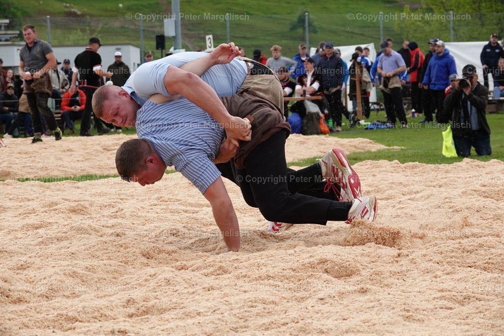 DSC00641 | Schwingen - Realisiert mit Pictrs.com