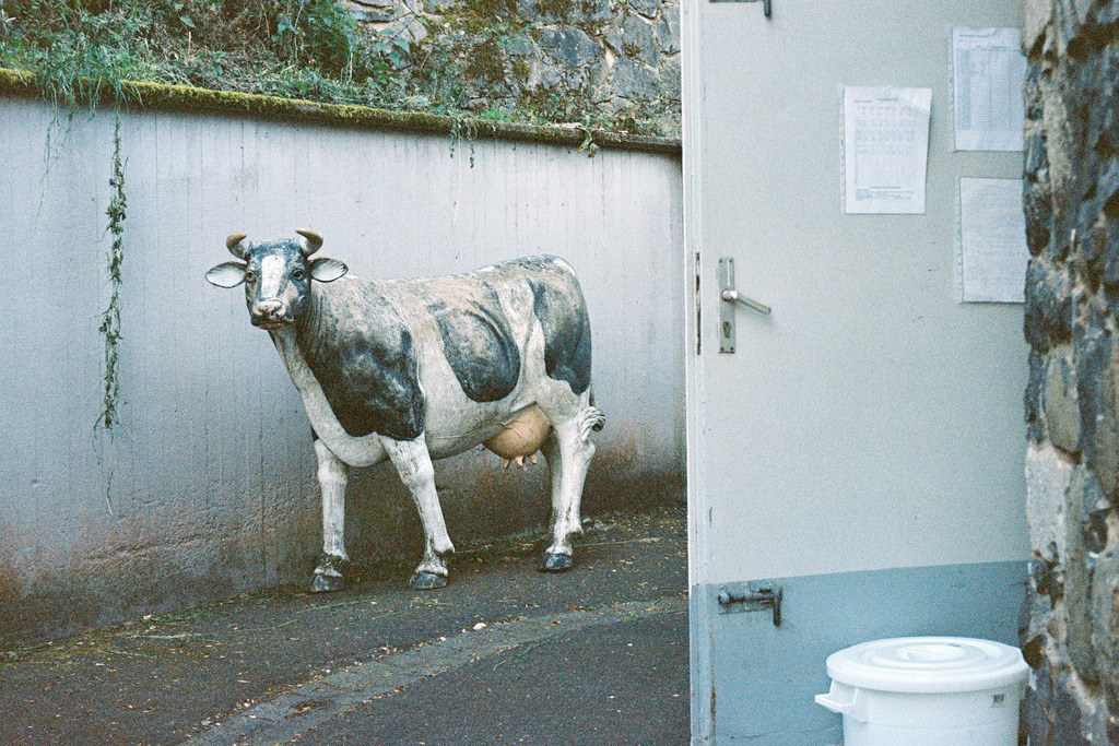 SN 55 | Ralph Driever - Fotograf - Realisiert mit Pictrs.com