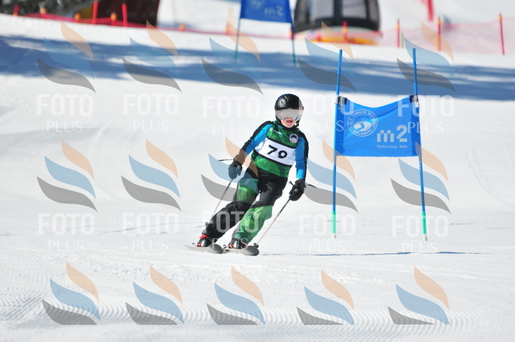 C3078 | holidayphoto