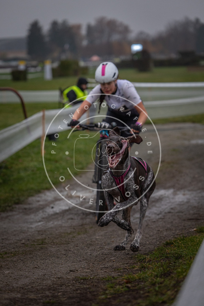 CaniXpix_0L8A0397 | Hundefotografie, Tierfotograf, Pfotenfotografie, Fotoshooting Hund, Hunde Portrait, Hundesport, Hundeportraits, Heideshooting, Hunde, Sportfotograf, Hundefotograf, Turnierhundsport, THS,  - Realisiert mit Pictrs.com