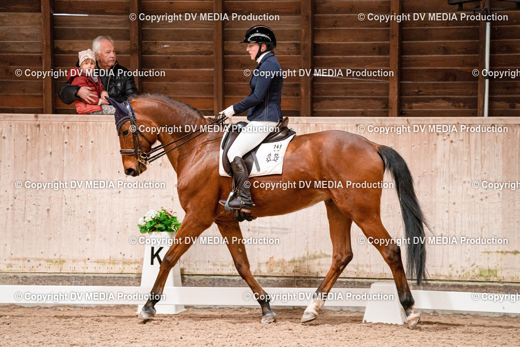 Dressur Tag 3-293 | dv-media-shop - Realisiert mit Pictrs.com