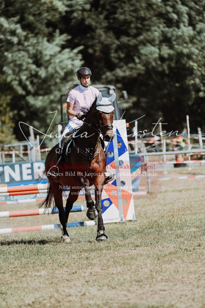 DSC_9736 | Pferde- und Turnierfotografie in Westsachsen. Pferdeportraits, Auftragszeichnungen und intuitive Kunst.