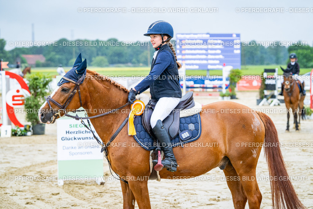 DSC01467 | Pferdegrafie