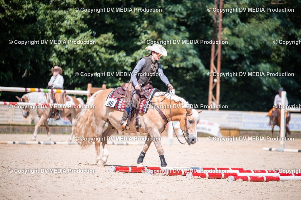 ZS1_1538 | dv-media-shop - Realisiert mit Pictrs.com