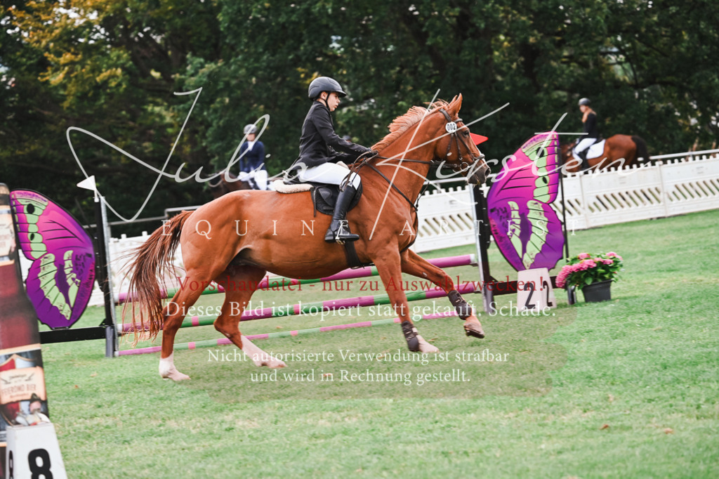 DSC_5851 | Pferde- und Turnierfotografie in Westsachsen. Pferdeportraits, Auftragszeichnungen und intuitive Kunst.