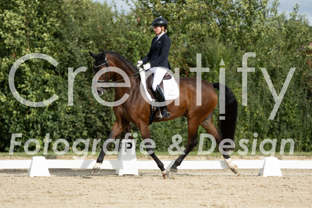 IMG_6995 | Creatify Fotografie