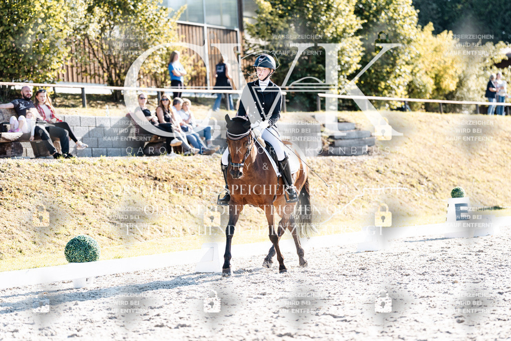 CK906221 | Turnierfotografie Pferdefotografie Trier Rheinland-Pfalz Pferdesport Reitsport Tierfotografie Sportfotografie Pferdevideo Pferdevideografie Equestrianvideography equestrianphotography  - Realisiert mit Pictrs.com