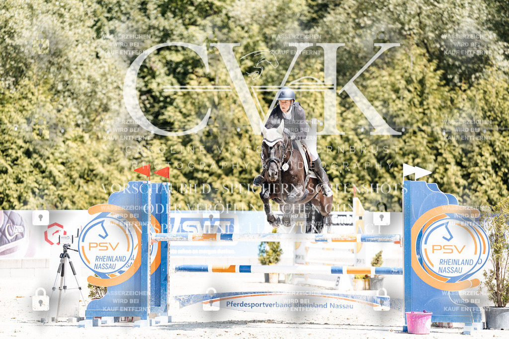 CK900181 | Turnierfotografie Pferdefotografie Trier Rheinland-Pfalz Pferdesport Reitsport Tierfotografie Sportfotografie Pferdevideo Pferdevideografie Equestrianvideography equestrianphotography  - Realisiert mit Pictrs.com