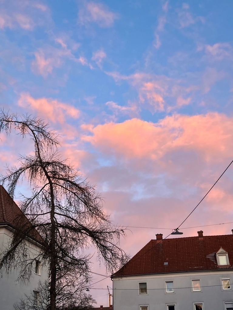 IMG_9581 | ace - Realisiert mit Pictrs.com