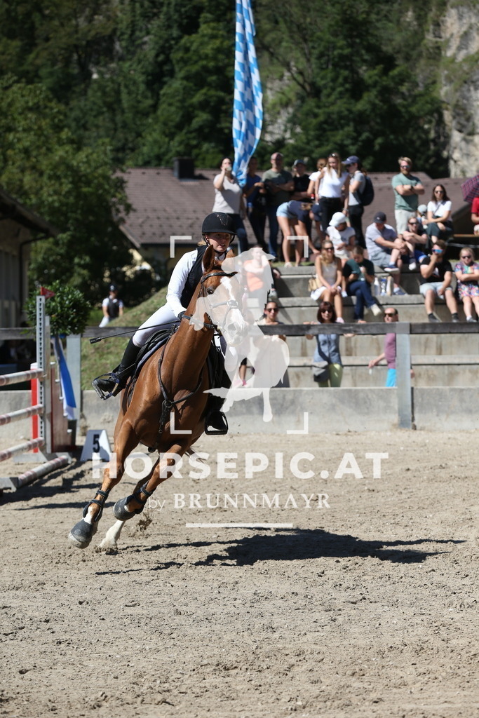 DL2Q0682 | Willkommen bei Brunnmayr - Design & Fotografie – Ihrem Spezialisten für Reitturniere und Pferdeveranstaltungen in Oberösterreich, Salzburg und Bayern! Seit über 17 Jahren sind wir leidenschaftlich dabei.