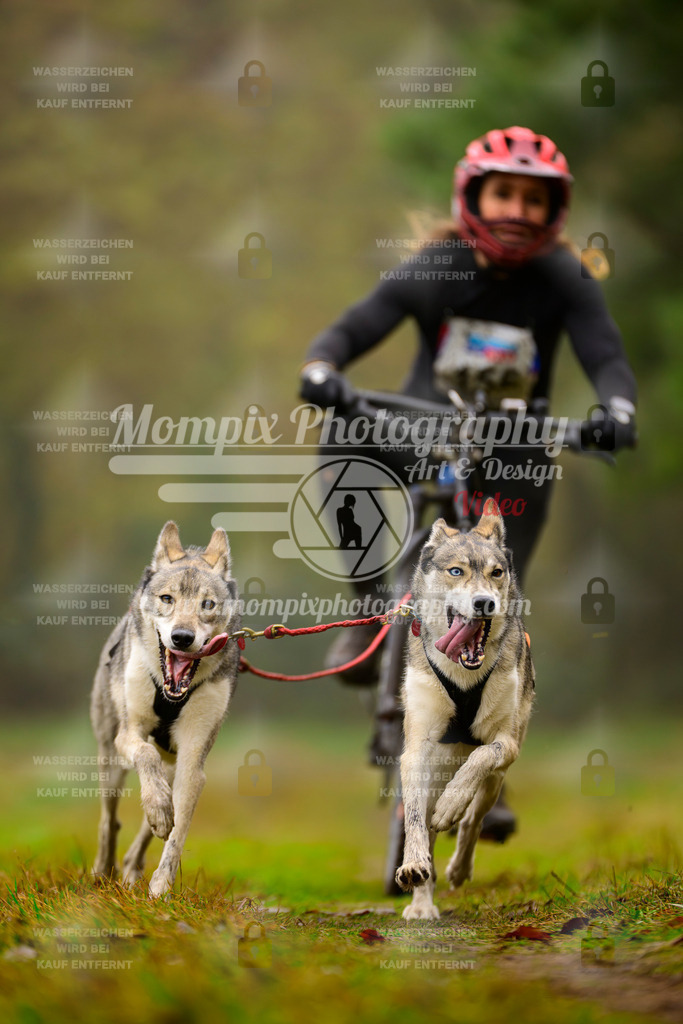 MompixPhotography_Bischwiller2025_Bike-121 | mompixphotography