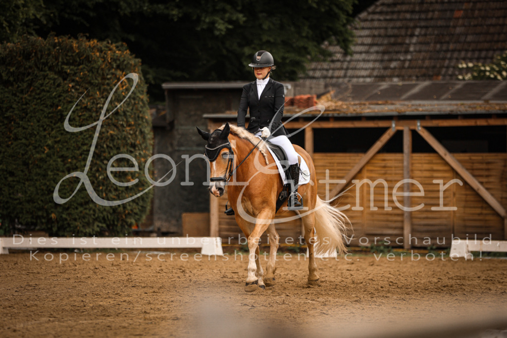 DoDrE00136 | Leoni Ertmer Photography - Realisiert mit Pictrs.com