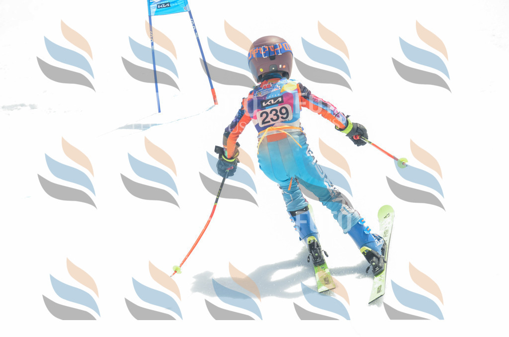 _ELE7421 | holidayphoto