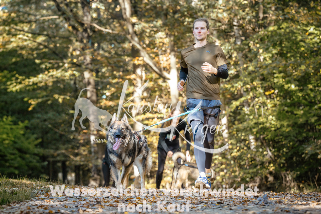 1142_ZZ93186 | kk-dogfotos