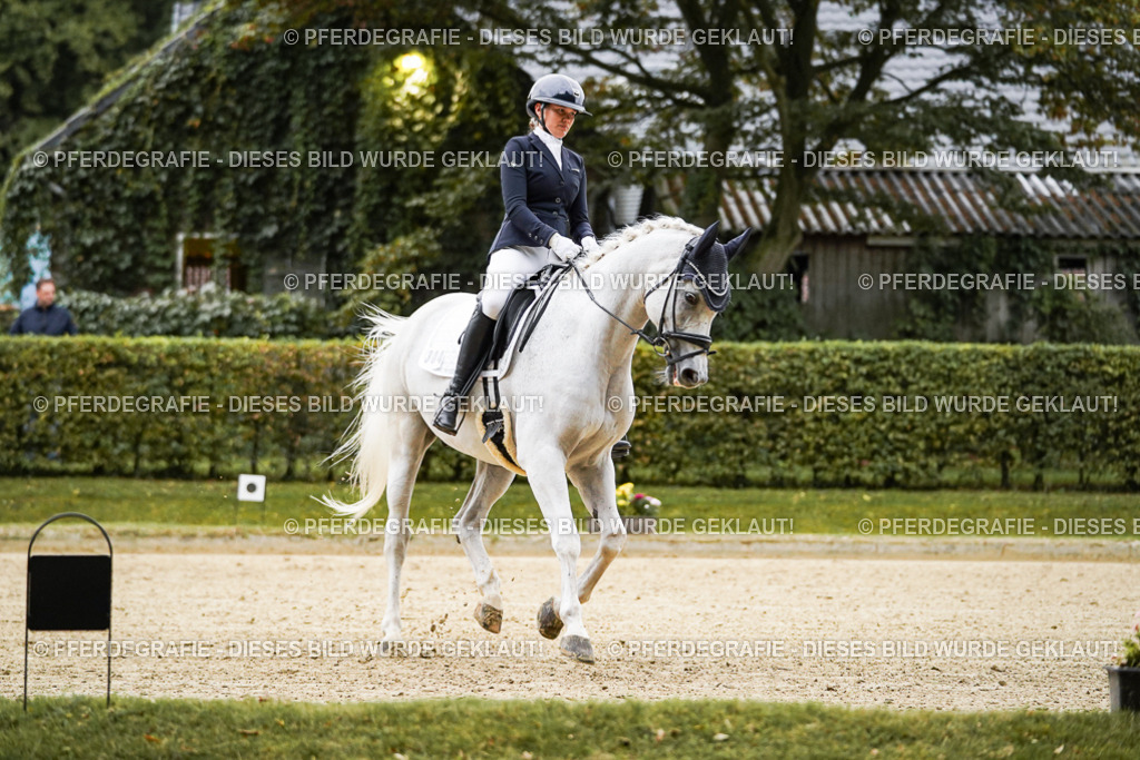 DSC06619 | Pferdegrafie