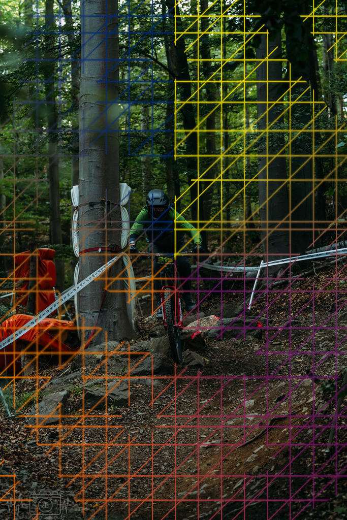 PAE-1319 | Einzigartige Fotokunst für dein Zuhause: Entdecke hochwertige Wandbilder, edle Prints und emotionale Motive von Wildlife, Natur und Landschaften - Realisiert mit Pictrs.com