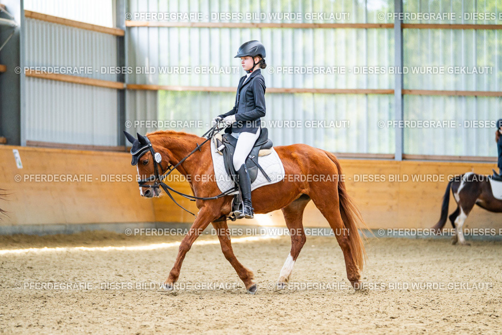 DSC03586 | Pferdegrafie