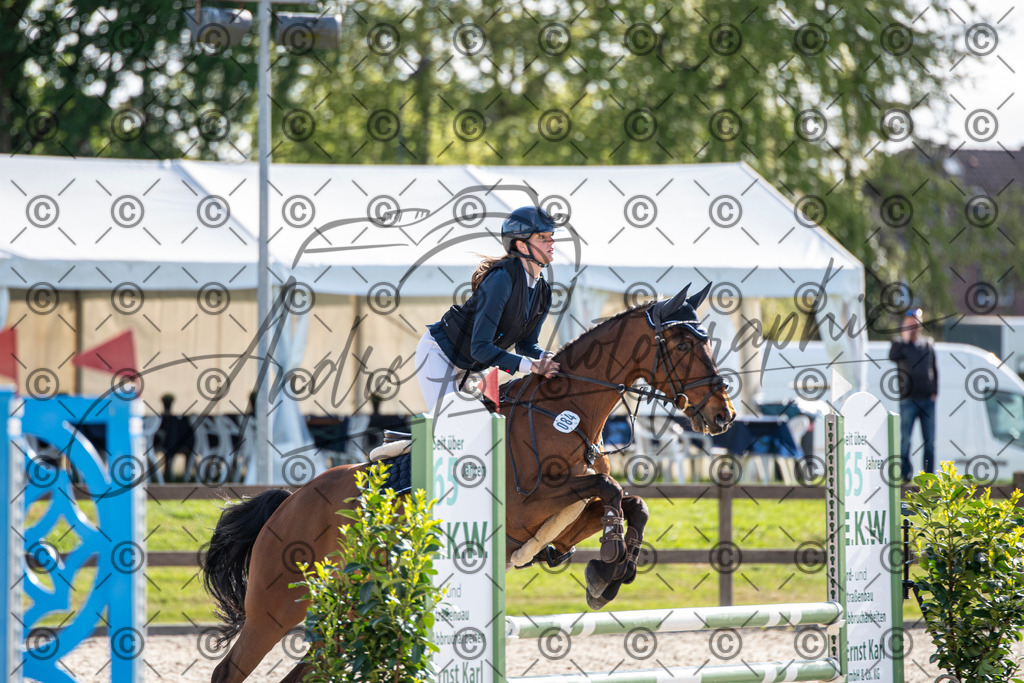 KPT_4474 | andre_photographic