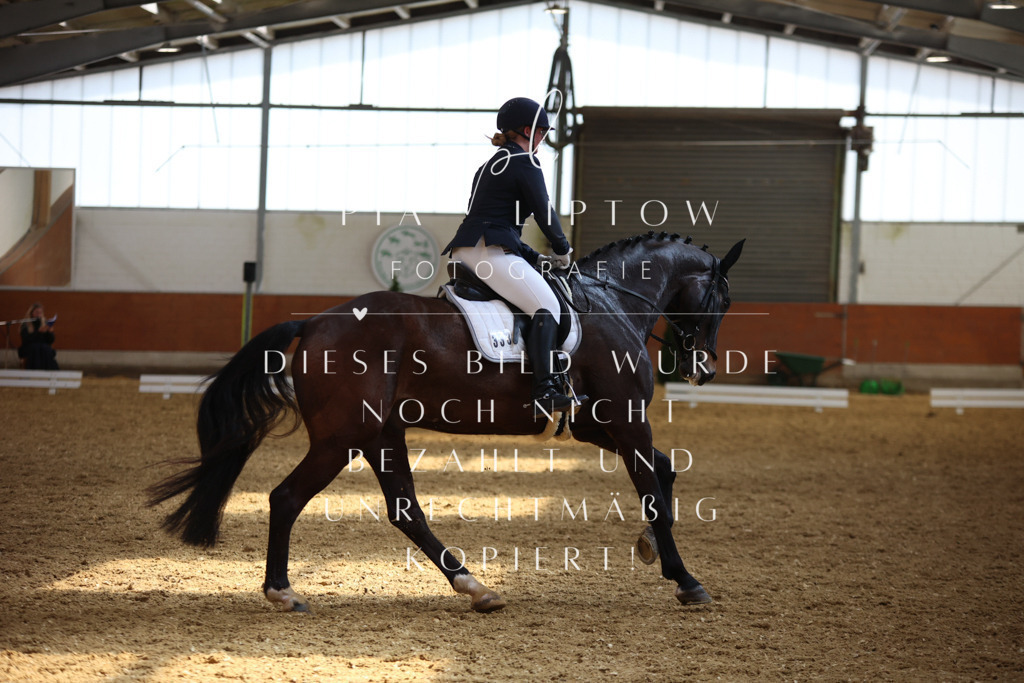 IMGT4805 | pl-fotografie