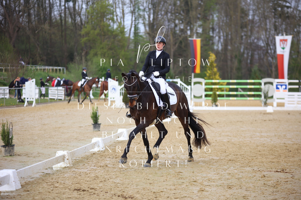 IMGT8111 | pl-fotografie