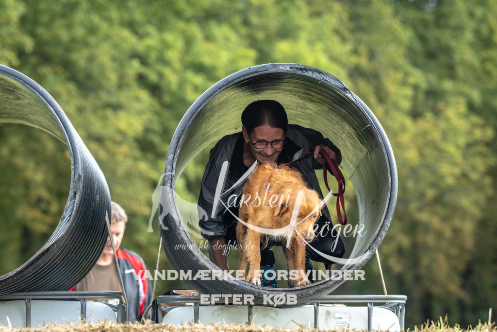 1037_ZZ92633 | kk-dogfotos