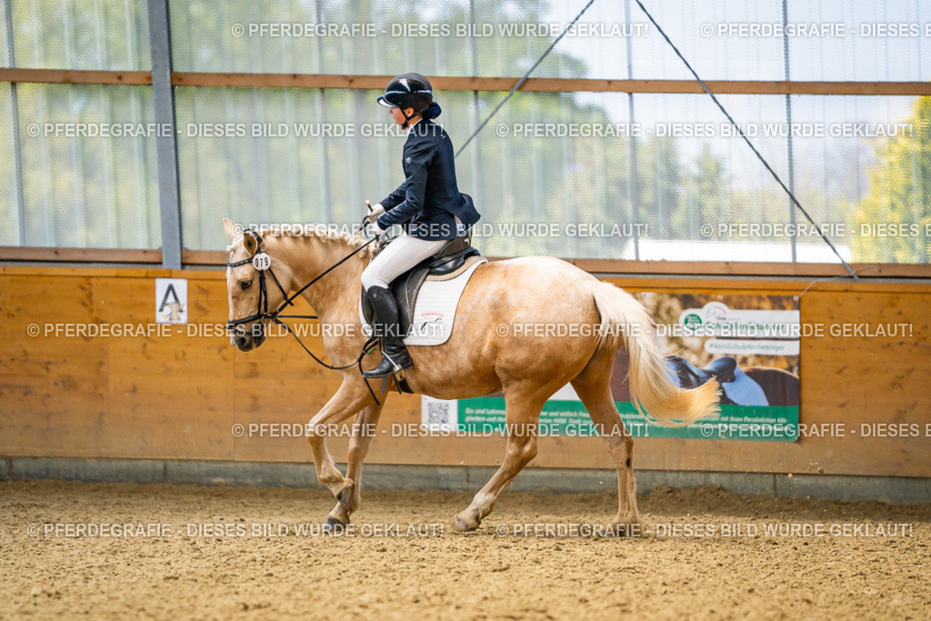 DSC03752 | Pferdegrafie