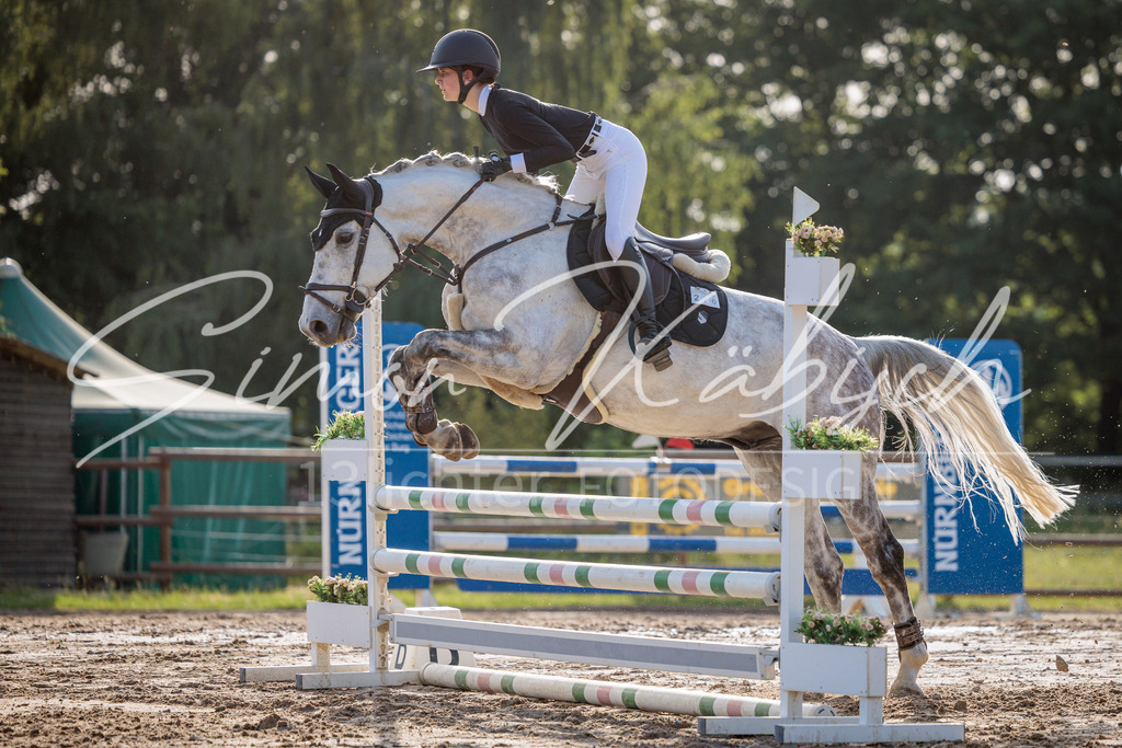 20260529-_3LI0871 | Tierfotografie Pferde, Hunde, Katzen, Haustiere.
Turnierfotografie Reitturniere, Reiten, Springreiten, Dressur in Hanau, dem Main-Kinzig-Kreis und dem Rhein-Main- Gebiet um Frankfurt