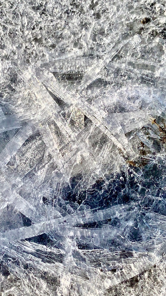 IMG_3188 | Björn Thiemann; Ogenblick.de; Fotografie; Photograph; Landscape, Pellworm, Schleswig-Holstein; Inselfotograf; Inselfotografien; Wattenmeer; National-Park; Naturschutzgebiet; Leuchtturm; Lighthouse; Leinwandbilder; Kalender; Pellworm Kalender;  - Realisiert mit Pictrs.com