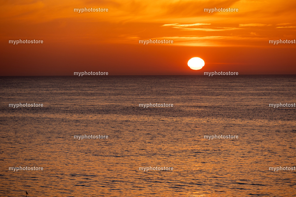 449A7105 | myphotostore - Realisiert mit Pictrs.com