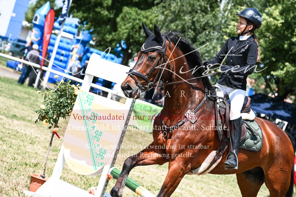 DSC_9863 | Pferde- und Turnierfotografie in Westsachsen. Pferdeportraits, Auftragszeichnungen und intuitive Kunst.