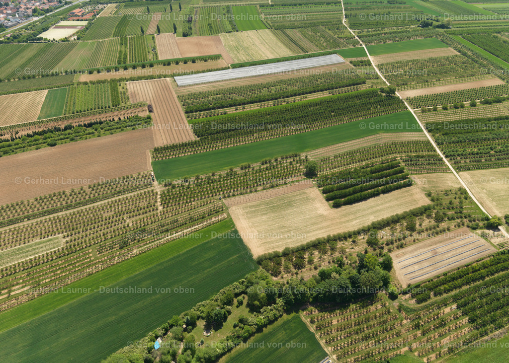 3108052-Agroforst-Finthen | Agroforst Finthen