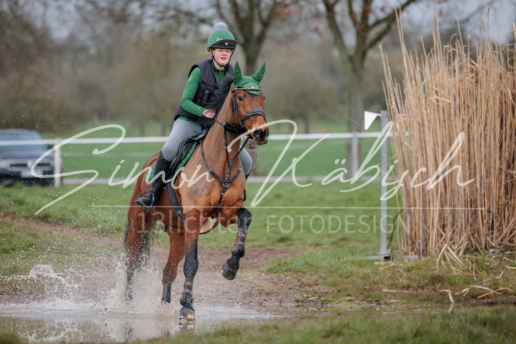 20260329-_3LI3787 | Tierfotografie Pferde, Hunde, Katzen, Haustiere.
Turnierfotografie Reitturniere, Reiten, Springreiten, Dressur in Hanau, dem Main-Kinzig-Kreis und dem Rhein-Main- Gebiet um Frankfurt