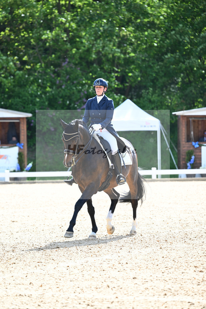 Balkenhol_Statement_12244654 | hf-fotografie - Realisiert mit Pictrs.com