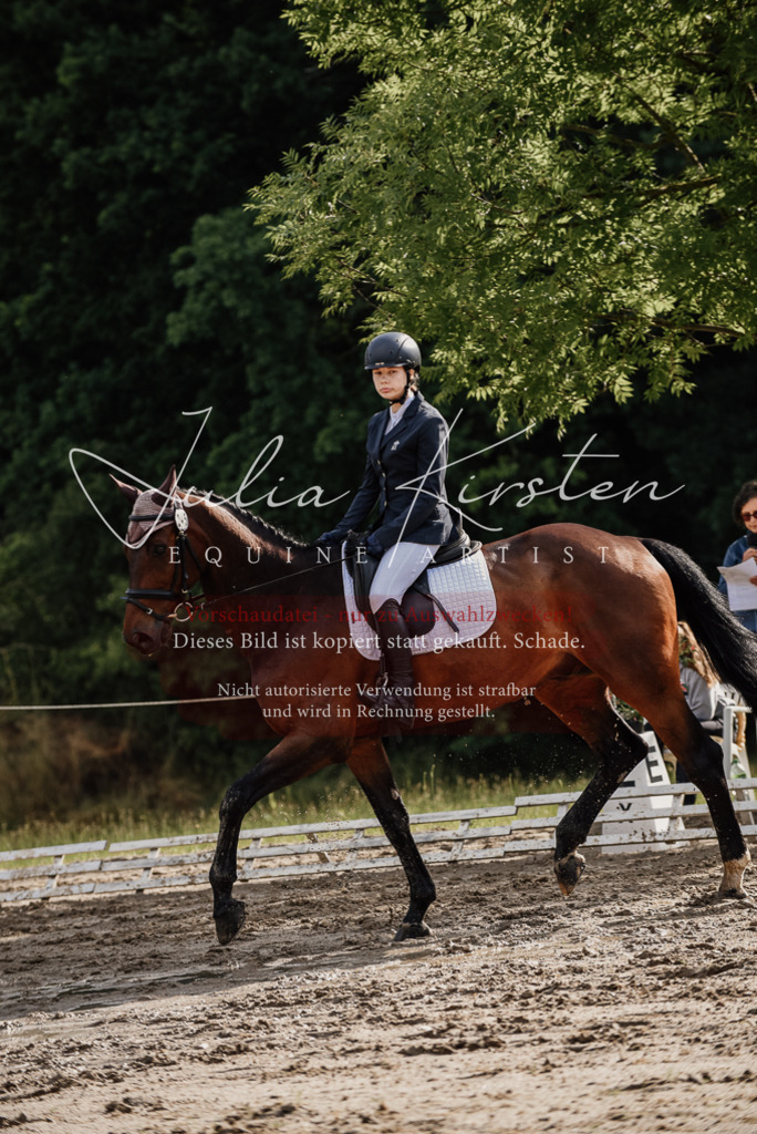 DSC_8627 | Pferde- und Turnierfotografie in Westsachsen. Pferdeportraits, Auftragszeichnungen und intuitive Kunst.