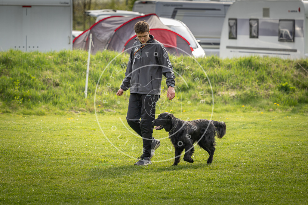 Pfotenfotografie_DV3A5015 | Hundefotografie, Tierfotograf, Pfotenfotografie, Fotoshooting Hund, Hunde Portrait, Hundesport, Hundeportraits, Heideshooting, Hunde, Sportfotograf, Hundefotograf, Turnierhundsport, THS,  - Realisiert mit Pictrs.com