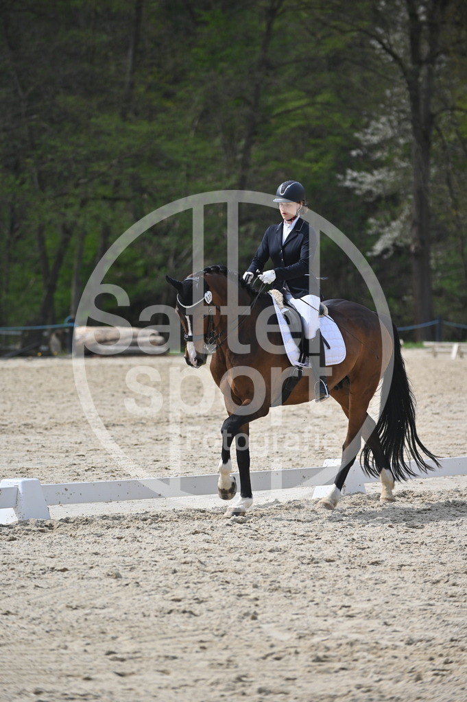 DSC_4204 | sattelsport - Realisiert mit Pictrs.com