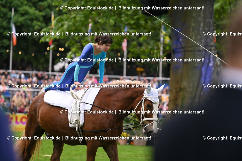 20240517_Lange-Pferdenacht_0334 | Foto: Thomas Hartig