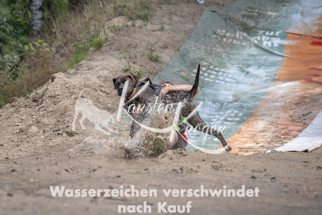 1232_ZZ92189 | kk-dogfotos