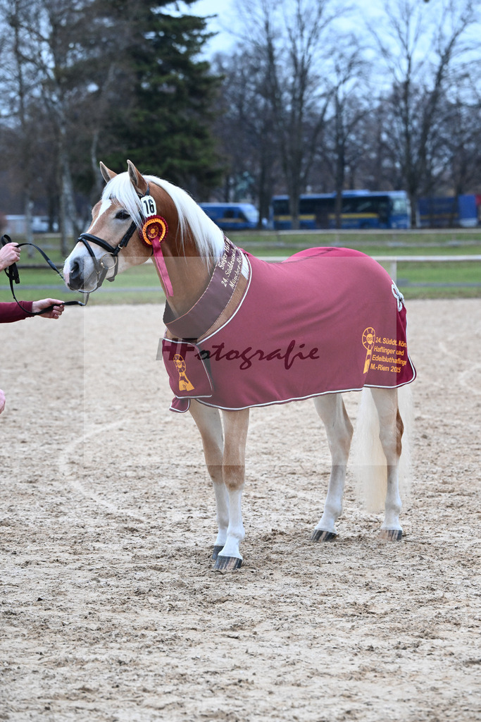 Kat-Nr. 16 nn v. Neustart_Obermeyer_48251955 | hf-fotografie - Realisiert mit Pictrs.com