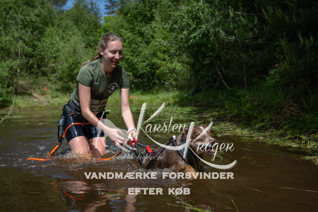 1202DKK991607 | kk-dogfotos