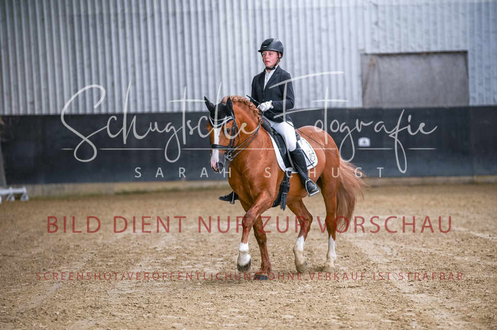 Schugtsche-Aluta25-56.Dressurprf.L1Kand.-25 | Schugtsche Fotografie - Realisiert mit Pictrs.com