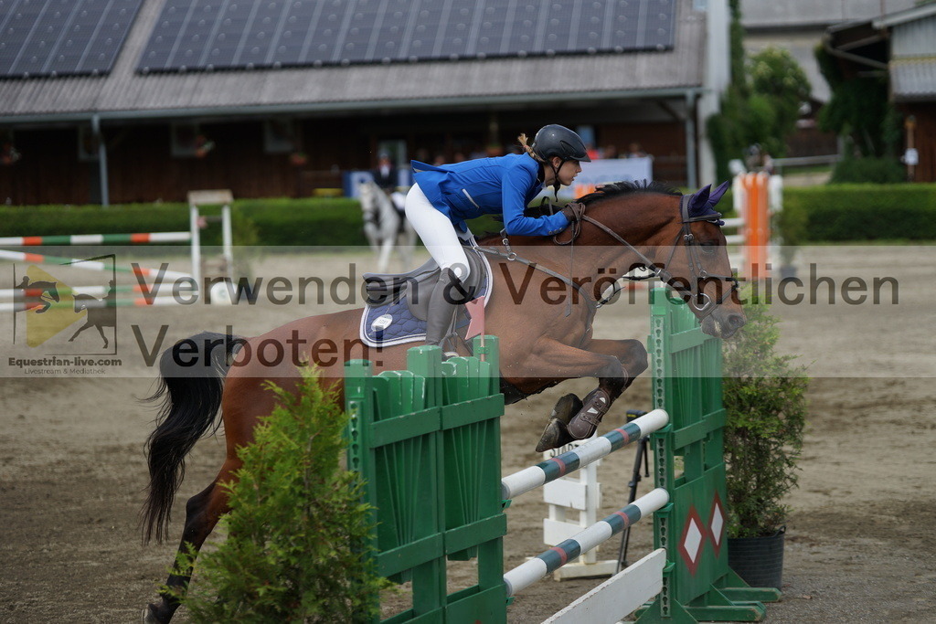 DSC05215 | equestrian-live-com