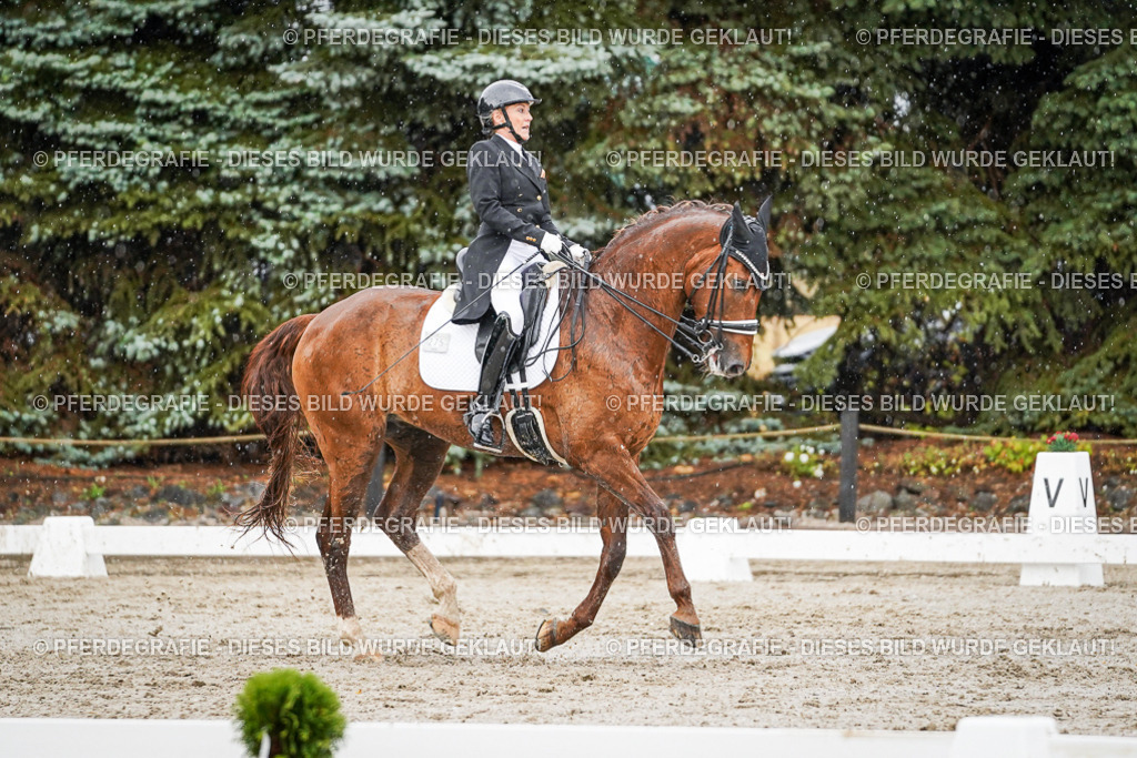 DSC09166 | Pferdegrafie