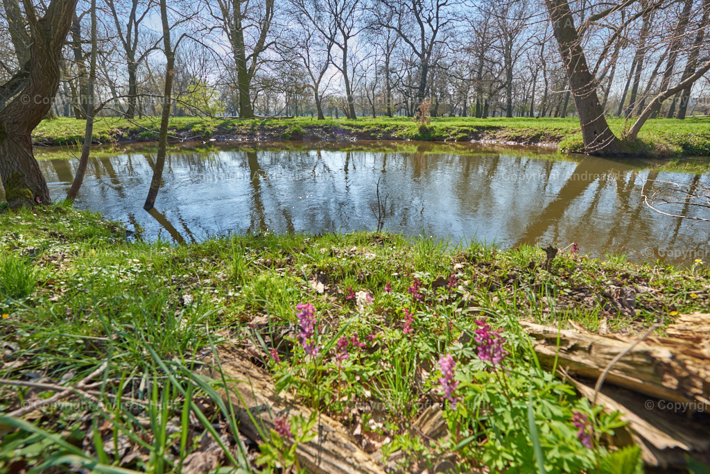Am Profener Elstermühlgraben nahe Lützkewitz 02 | Bedeutsame Landschaften Deutschlands - Realisiert mit Pictrs.com