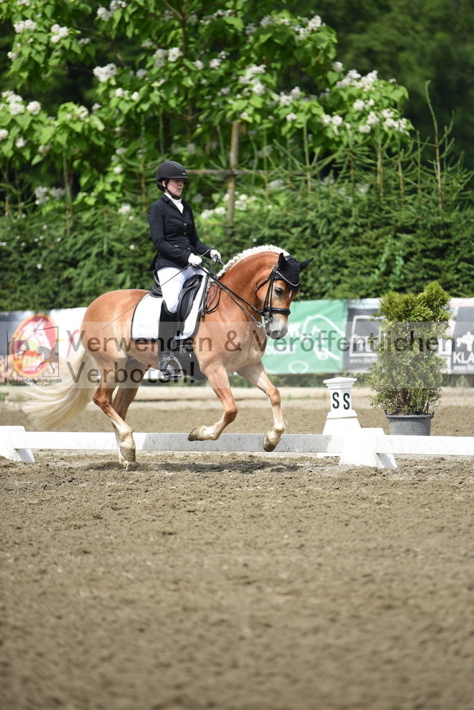 DSC_0674 | equestrian-live-com