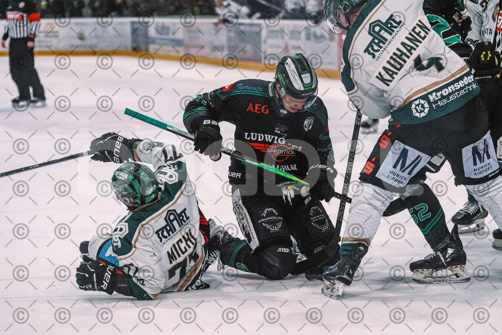 Alligators_vs_Erding_01_02_2026-50 | Höchstadt Alligators Fotogalerie: Eishockey-Action aus Franken. Professionelle Spielfotos, Portraits & Stadionbilder zum Download. Jetzt entdecken! - Realisiert mit Pictrs.com