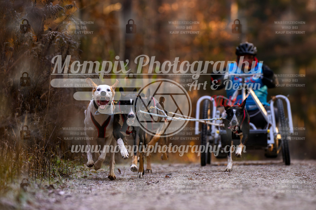 MompixPhotography_DM_AKDM_SO_2025_Wagen-66 | PayLife