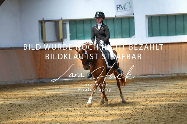 DKP45098 | larahueckfotografie