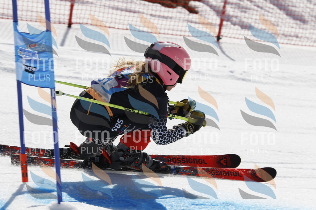 _U3G9645 | holidayphoto